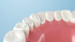 healthy bottom gums