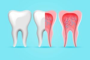 dental crown front
