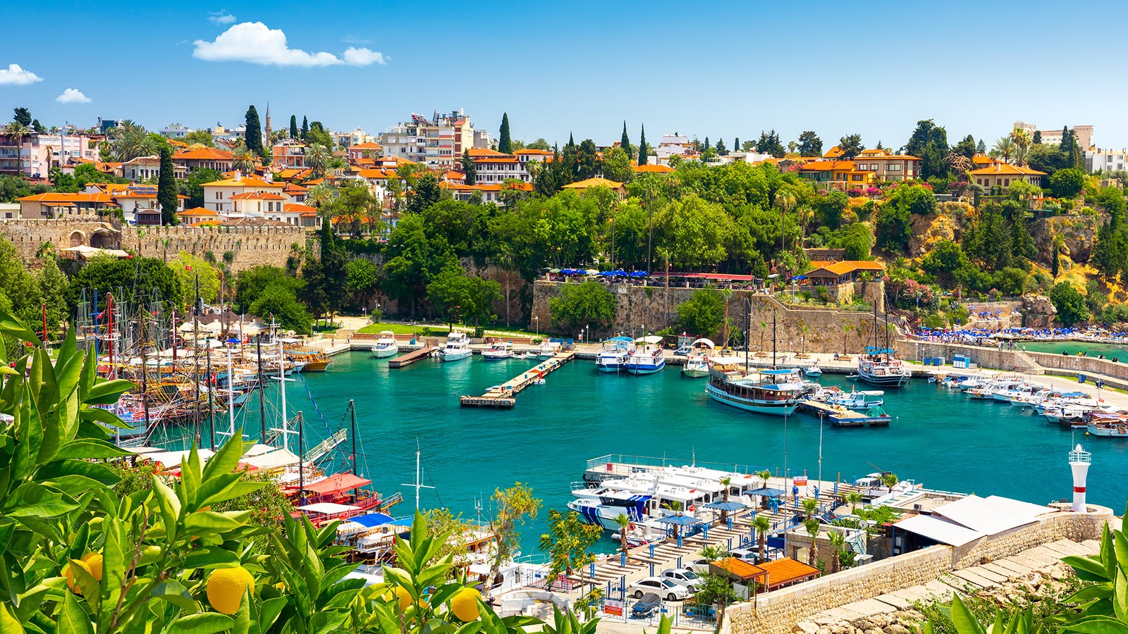 top 10 dental implant companies in the world